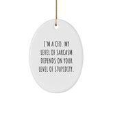 CFO Gifts - I'm A Cfo. My Level Of Sarcasm Depends On Your Level Of Stupidity. - Oval Ornament - Funny Christmas Unique Gifts from Friends - Image 1